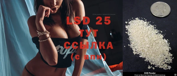 ПСИЛОЦИБИНОВЫЕ ГРИБЫ Алзамай