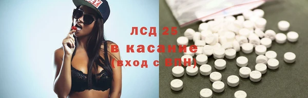 ПСИЛОЦИБИНОВЫЕ ГРИБЫ Алзамай