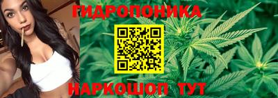 соль ск Кингисепп