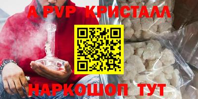соль ск Кингисепп