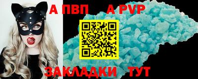 соль ск Кингисепп