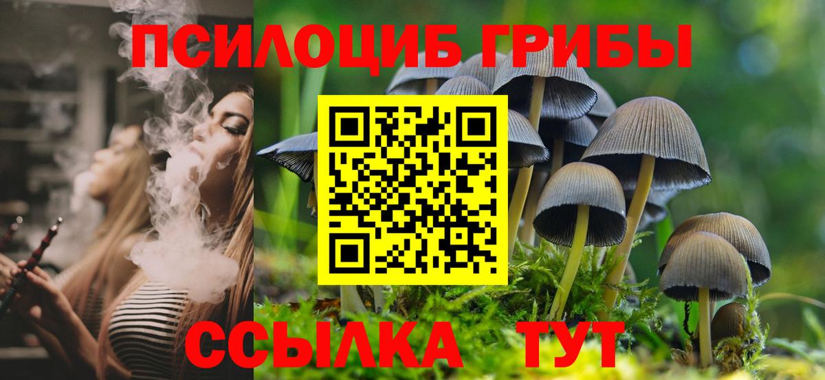 Псилоцибиновые грибы ЛСД Дедовск