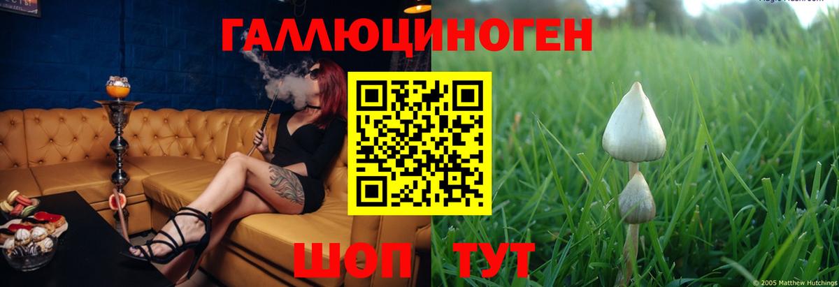 сколько стоит  Вход с VPN  Дедовск  Псилоцибиновые грибы GOLDEN TEACHER 